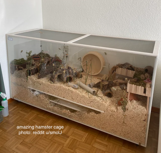 Picking a Hamster Cage