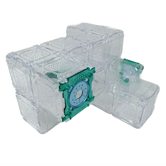 Burrow Bricks