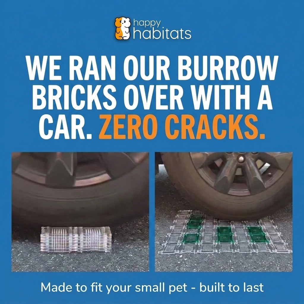 Burrow Bricks