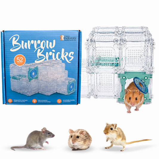 Burrow Bricks